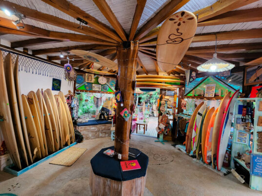 École de surf à Montañita